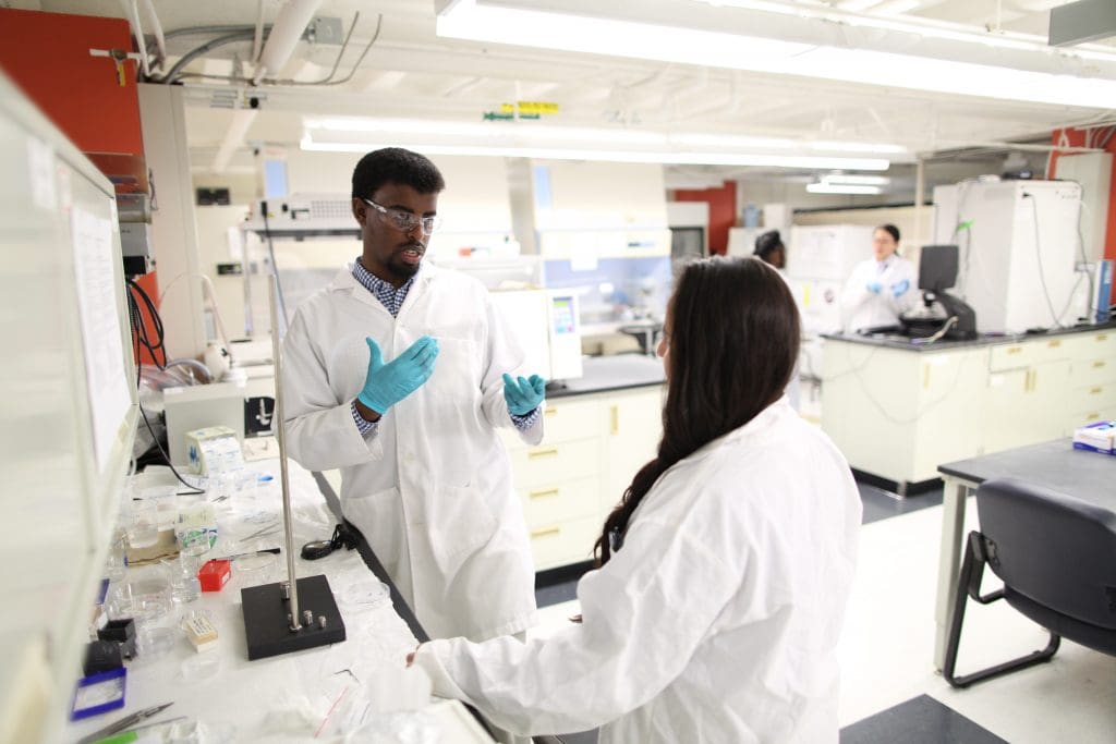 researchers