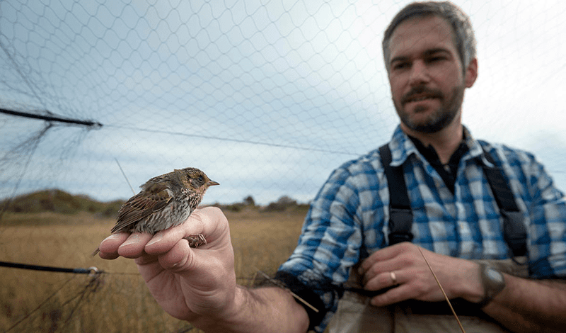 man with bird